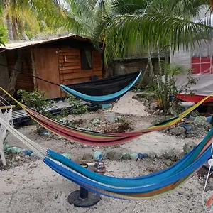 Sustainable Cabain Homestay